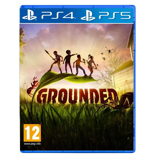 Grounded PS4 | PS5